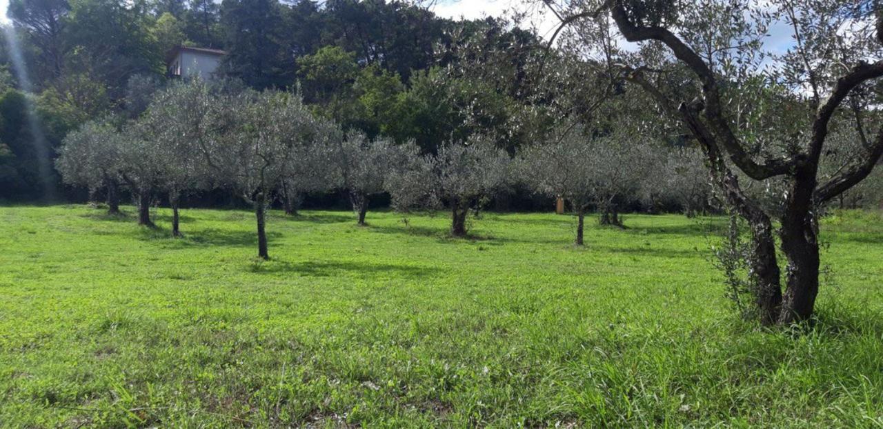 Agricampeggio Borgo Agna San Giustino Valdarno Buitenkant foto
