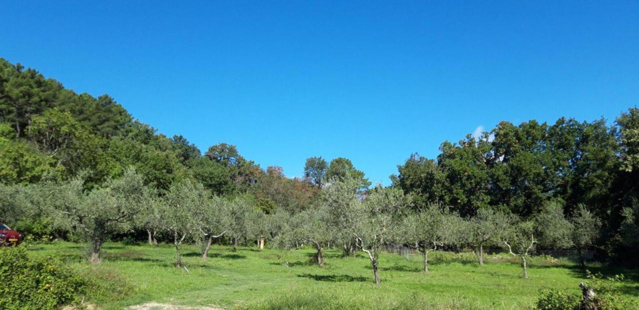 Agricampeggio Borgo Agna San Giustino Valdarno Buitenkant foto
