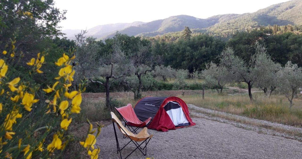 Agricampeggio Borgo Agna San Giustino Valdarno Buitenkant foto